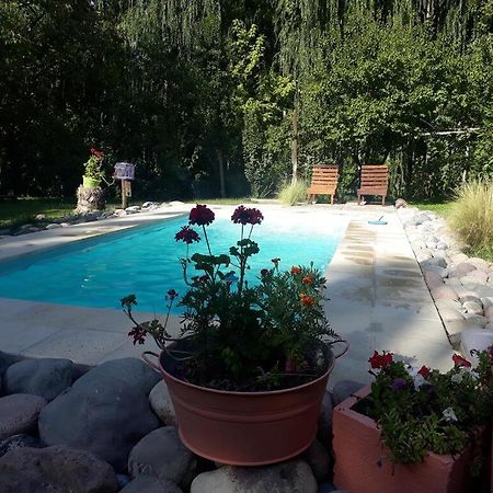 Tunuyán Casa De Campo De Piedra מראה חיצוני תמונה